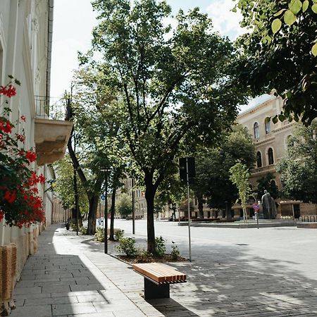 Contessa Apartment Cluj Napoca 外观 照片