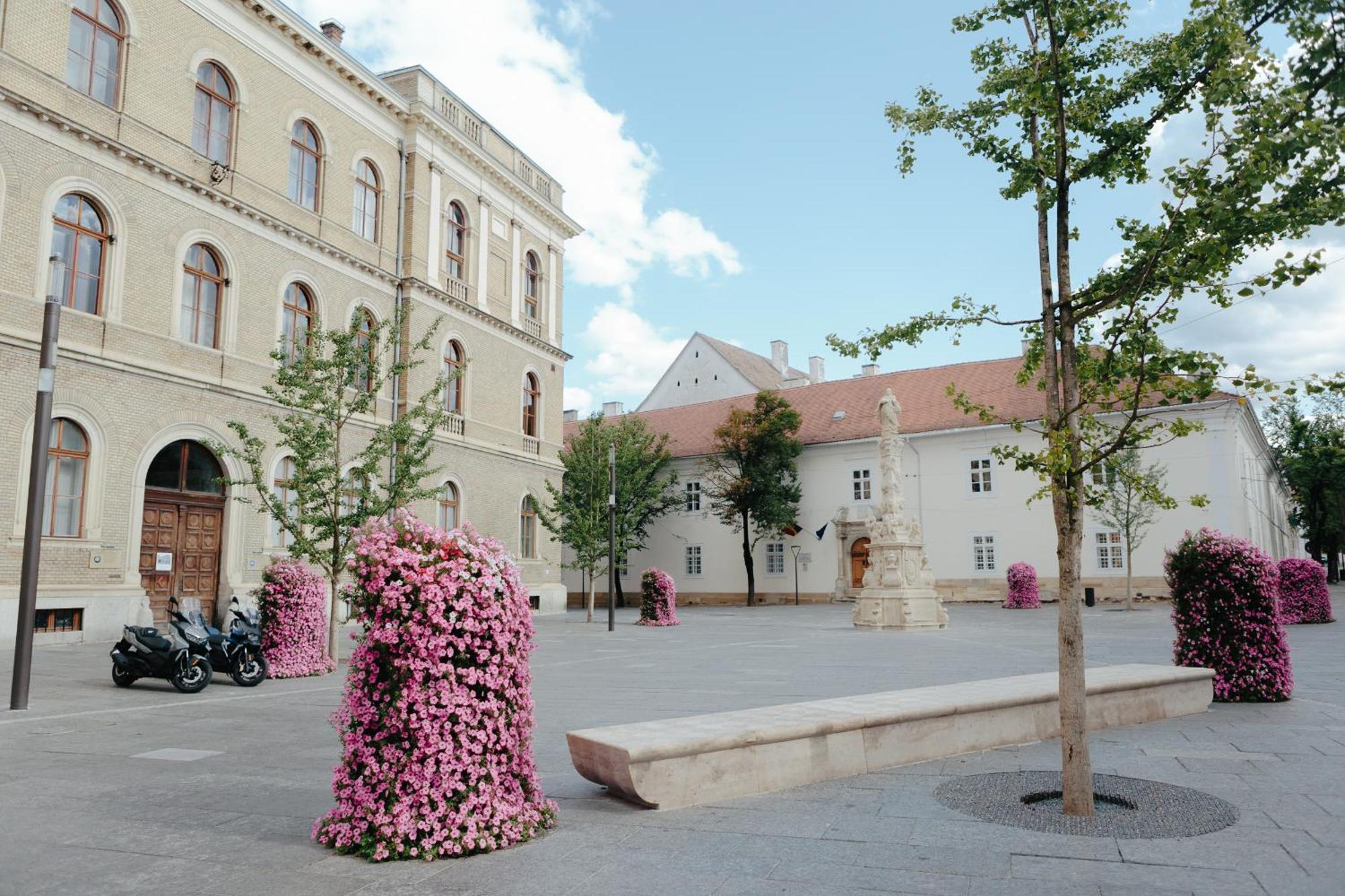Contessa Apartment Cluj Napoca 外观 照片