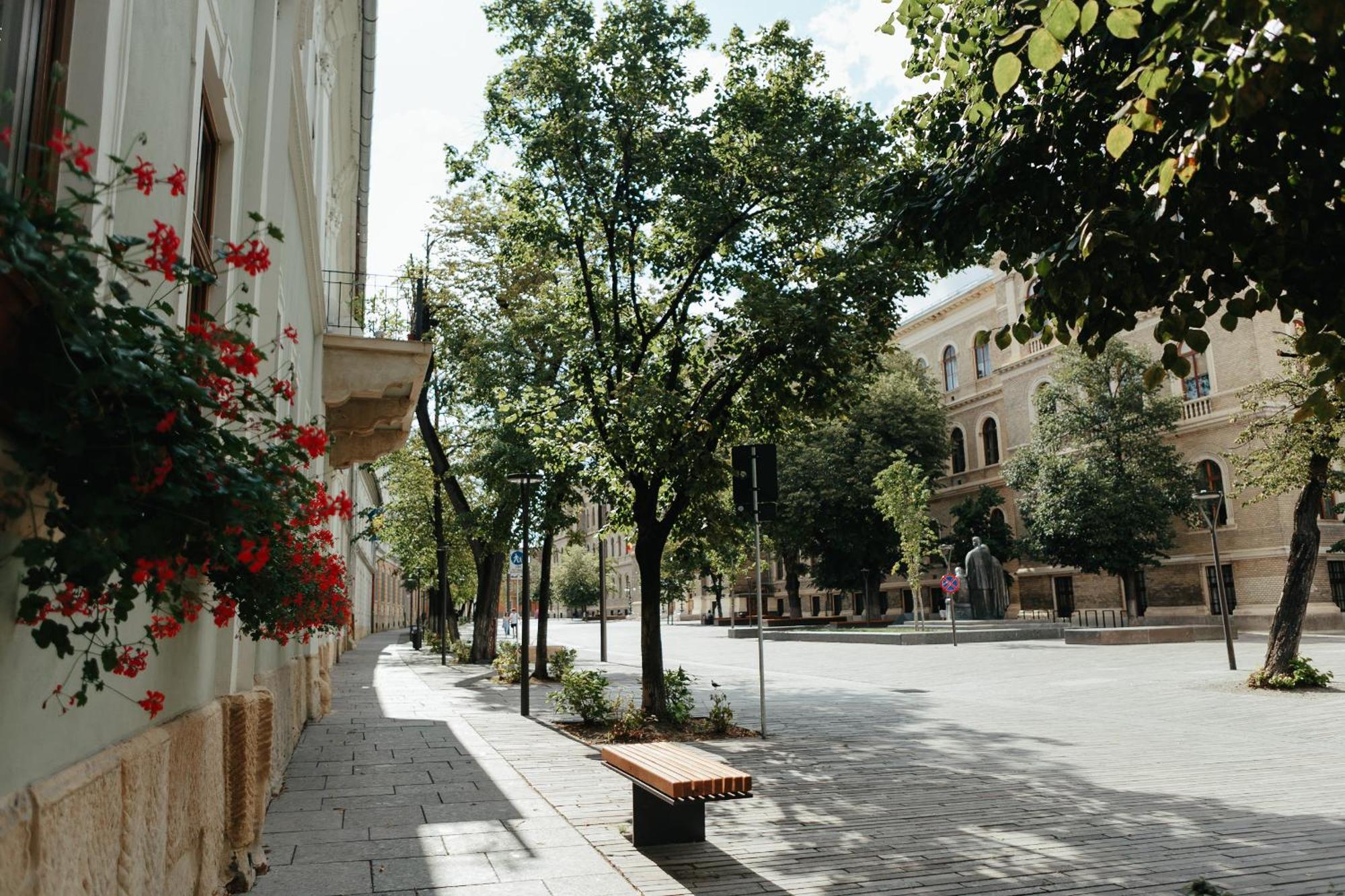 Contessa Apartment Cluj Napoca 外观 照片
