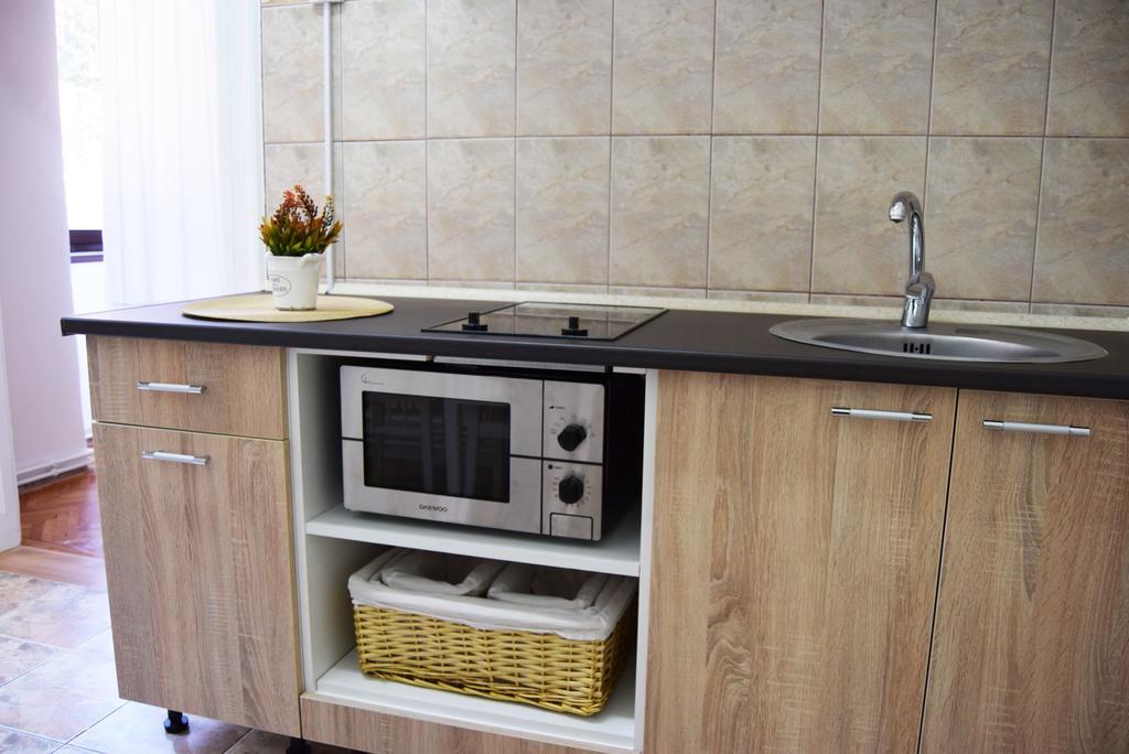Contessa Apartment Cluj Napoca 外观 照片
