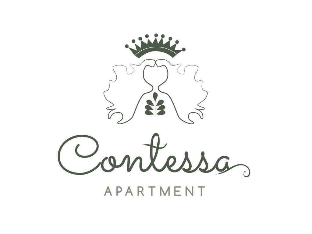 Contessa Apartment Cluj Napoca 外观 照片