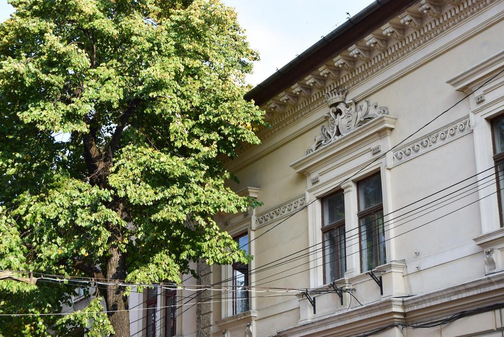 Contessa Apartment Cluj Napoca 外观 照片