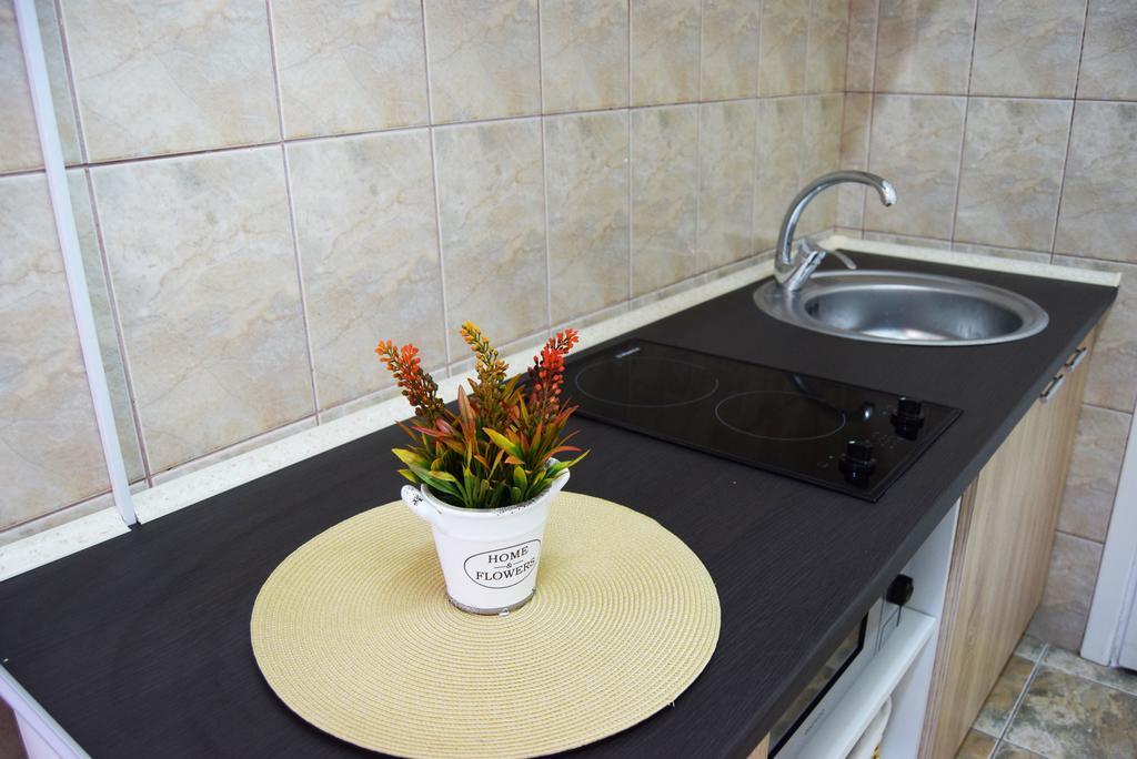 Contessa Apartment Cluj Napoca 外观 照片
