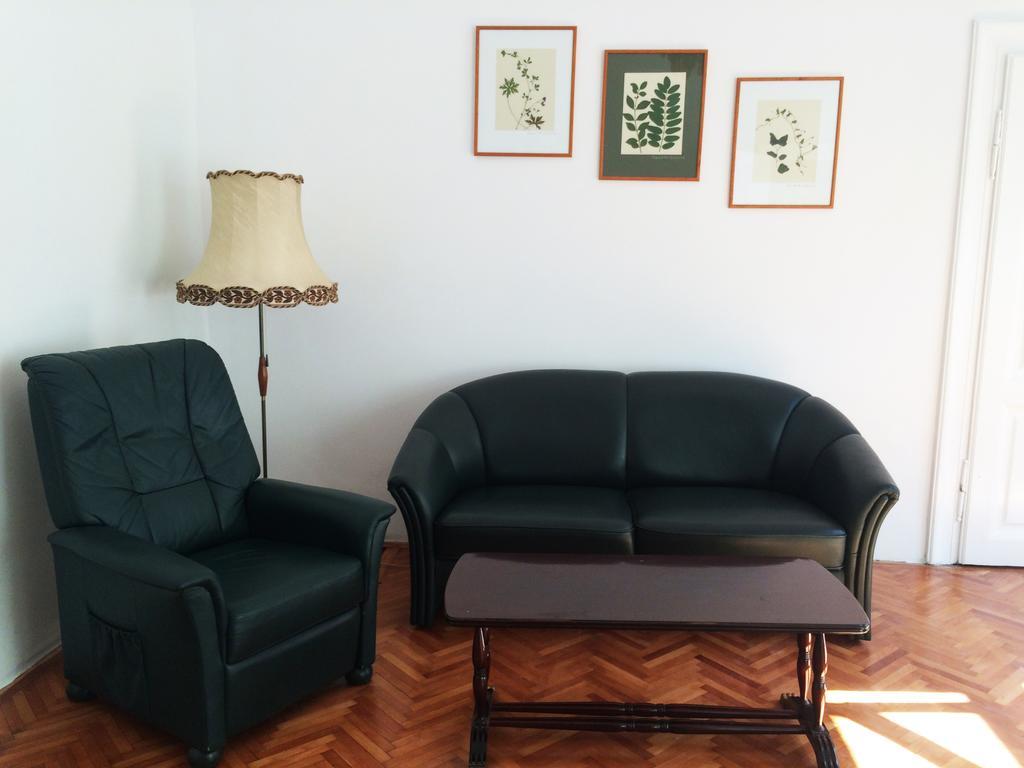 Contessa Apartment Cluj Napoca 外观 照片
